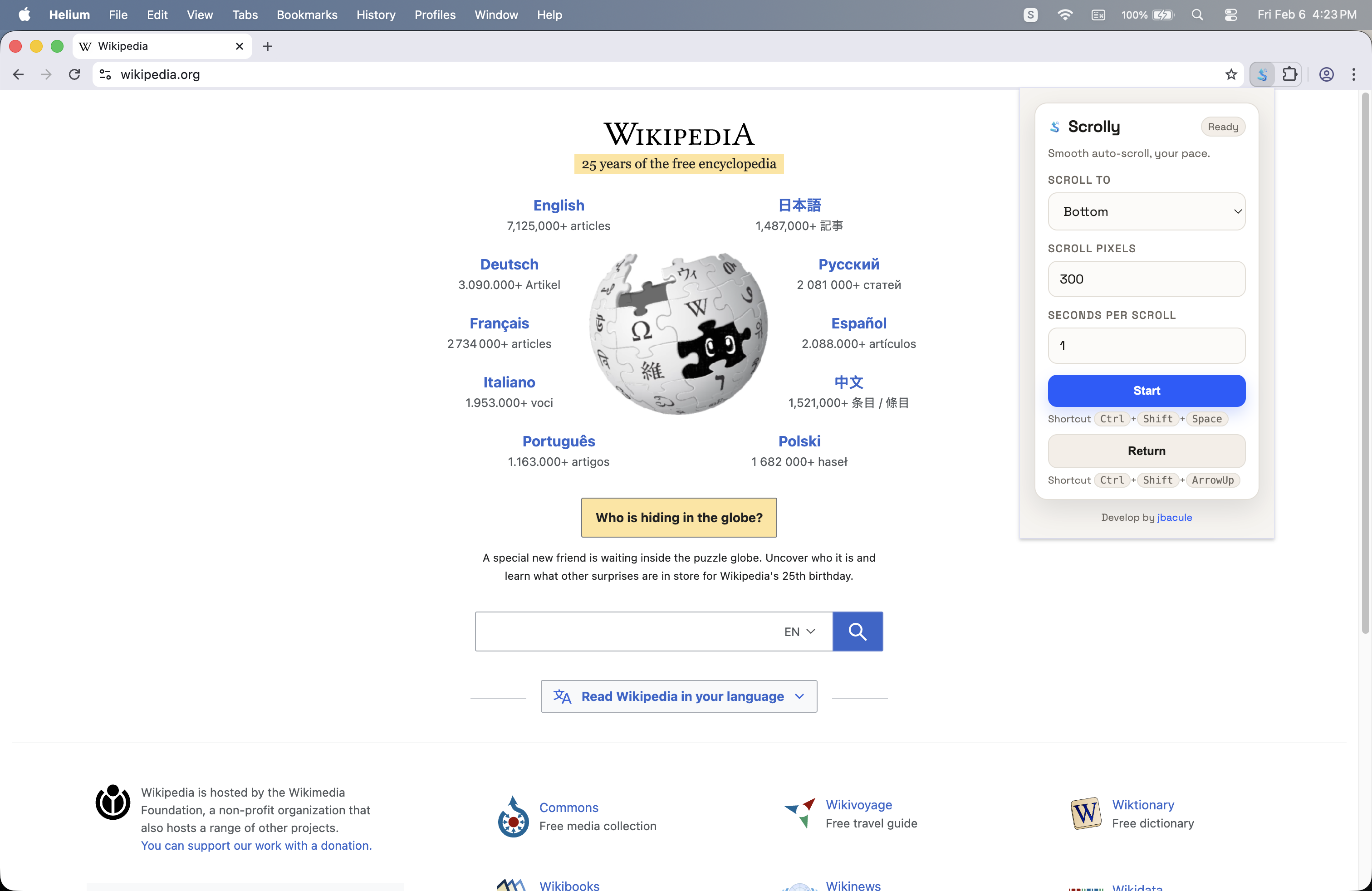 Web page preview